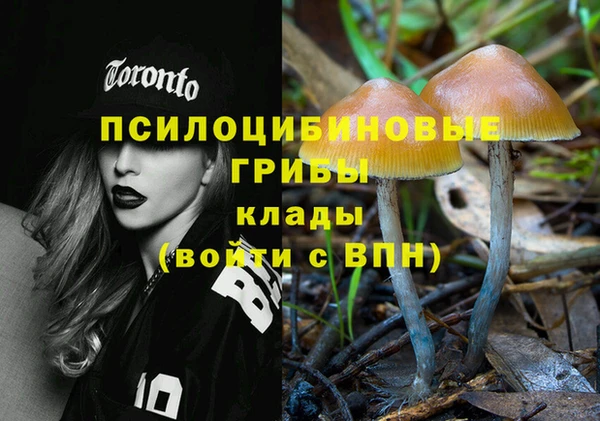 2c-b Гусь-Хрустальный