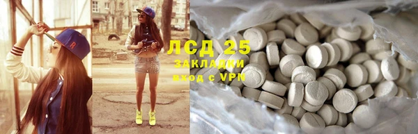 крисы Лагань