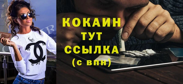 крисы Лагань