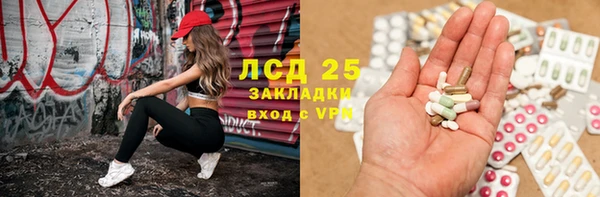 крисы Лагань