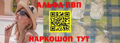 гашик Кингисепп