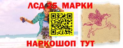гашик Кингисепп