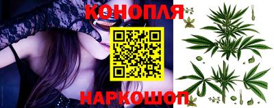 гашик Кингисепп