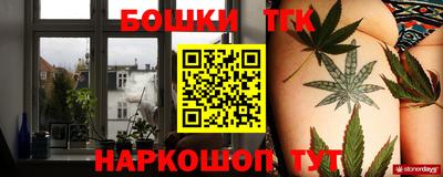 гашик Кингисепп