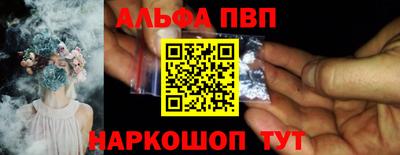 гашик Кингисепп