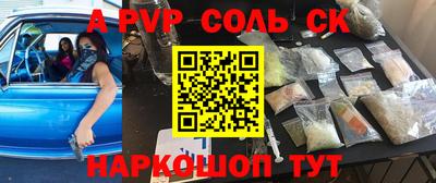 гашик Кингисепп