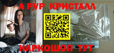 гашик Кингисепп