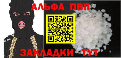 гашик Кингисепп