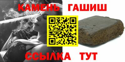 гашик Кингисепп