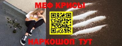 гашик Кингисепп