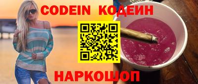 гашик Кингисепп