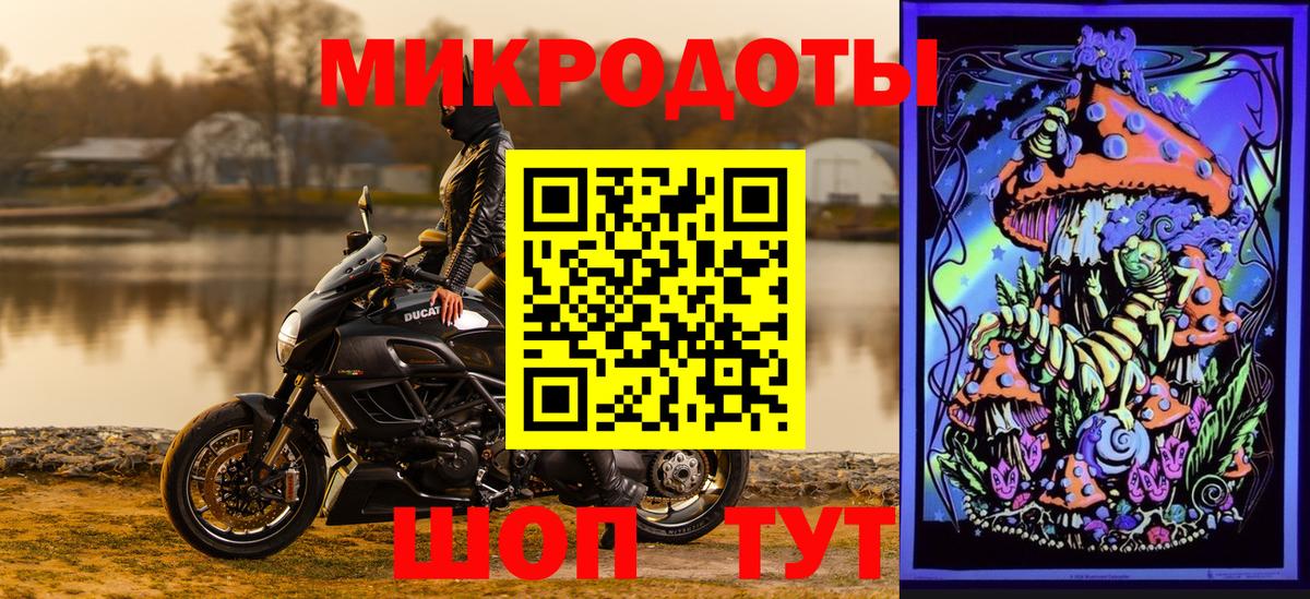 Галлюциногенные грибы мухоморы Нижнеудинск