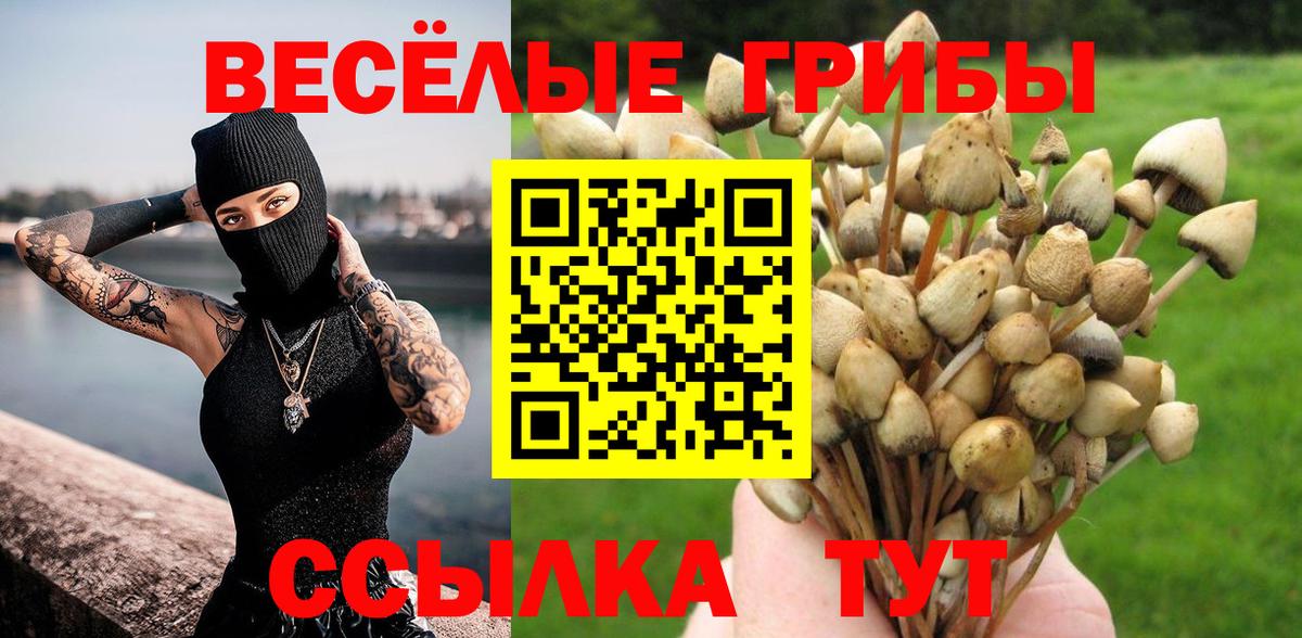 Нижнеудинск  Псилоцибиновые грибы ЛСД  Вход с VPN 
