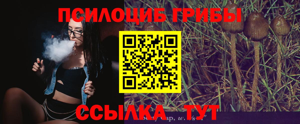 Псилоцибиновые грибы MAGIC MUSHROOMS  Нижнеудинск 