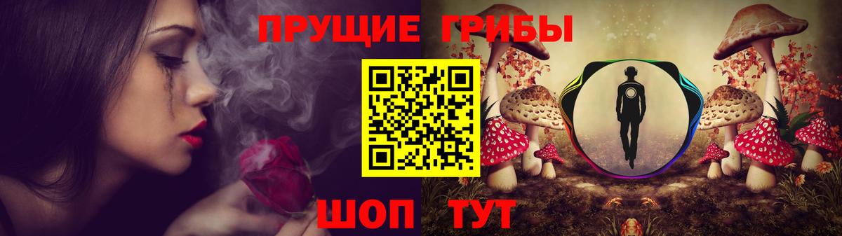 Галлюциногенные грибы GOLDEN TEACHER Нижнеудинск